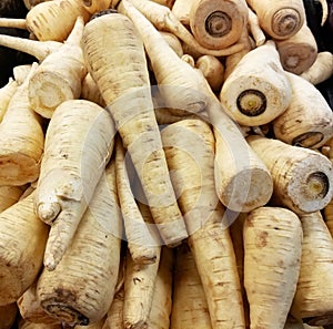 Multiple farm fresh parsnip root vegetables ready for purchase