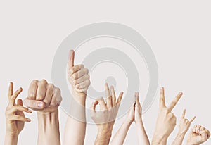 Multiple female hand gestures on gray background