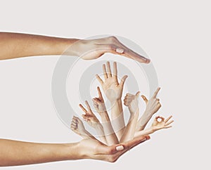 Multiple female hand gestures on gray background