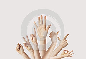 Multiple female hand gestures on gray background