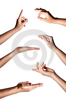 Multiple female hand gestures isolated over the white background, set of multiple images