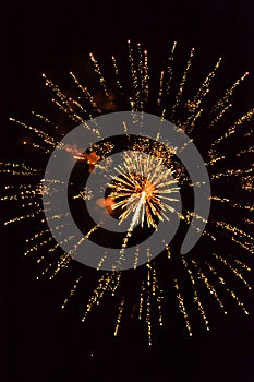 Multiple Golden Fireworks photo