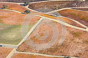 Paso Robles Fall Vineyards viewed from an airplane - amazing autumn colors photo