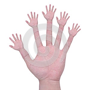 Multiple hands