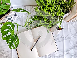 Multiple indoor plants and a blank notebook on a office desk in a bright white interior creating a no stress work environment