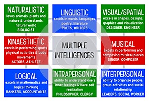 Multiple intelligences