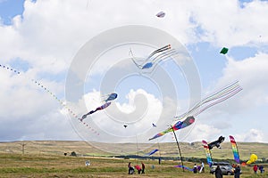 Multiple kites flying high in the countryside