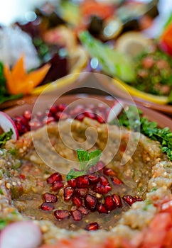 Multiple lebanese appetizers and salads together on the table. focused on baba ghanoush