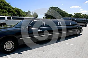 Multiple Limos