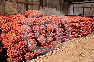 Multiple onion harvest in red sacs in the warehouse