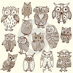 Multiple owl illustration