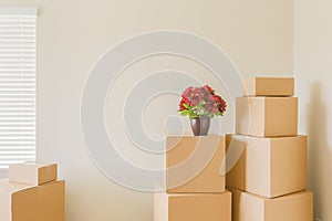 Multiple Packed Moving Boxes In Empty Room