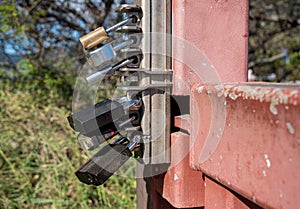 Multiple padlocks on a steel gate to securely lock it