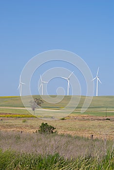 Multiple Power Generating Windmills