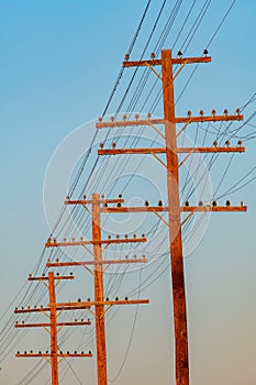 Multiple Power Poles with electrical line strung between