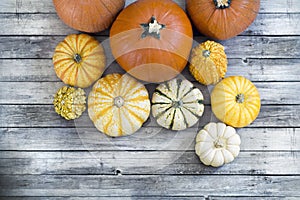 Multiple Pumpkins on wood floor