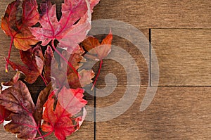 Multiple Red Maple Leafs on Maple Flooring