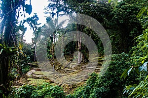 Multiple terraces from where there used to be a house in the middle of the jungle in Ciudad Perdada photo