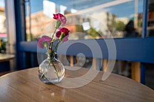Multiple urple carnation flower in a round glass vase on wooden table outside