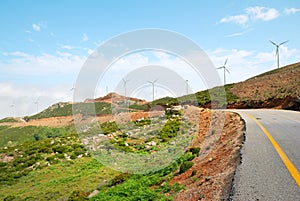 Multiple wind turbine power plants and a road