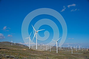 Multiple Windmills in Tehachipi California