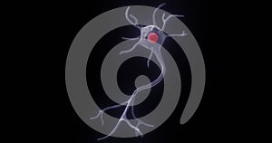 A multipolar neuron in 3D illustration photo