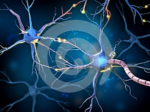 Multipolar neurons network