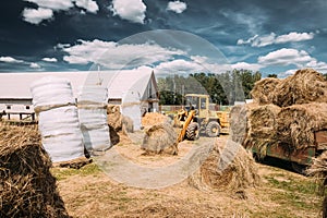 Multipurpose Wheel Loader Carry Out Works In Transportation Of Hay