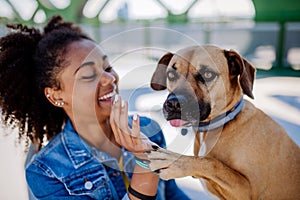 Multiracial girl sitting with her dog outside in the bridge, training him, spending leisure time together. Concept of