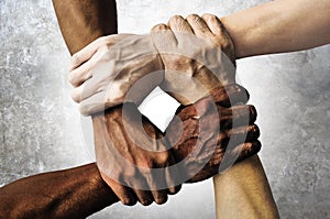 Multiracial group with black african American Caucasian and Asian hands holding each other wrist in tolerance unity love and anti photo