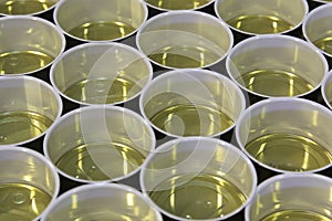 Multitude of aluminum cans on conveyor belt