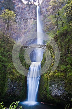 Multnoma falls