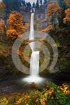 Multnomah Falls in Autumn colors