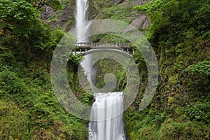 Multnomah Falls and Bridge photo