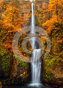 Multnomah Falls in the Columbia River Gorge of Oregon with beautiful fall colors. photo