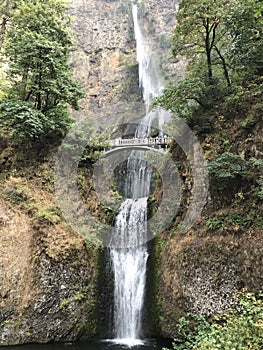 Multnomah Falls in Oregon