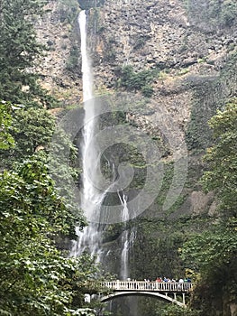 Multnomah Falls in Oregon