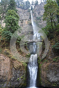 Multnomah Falls in Oregon