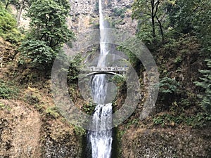 Multnomah Falls in Oregon