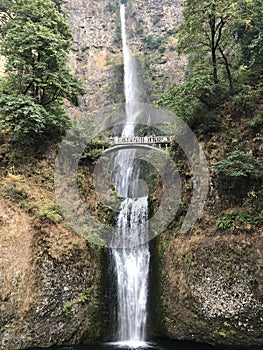 Multnomah Falls in Oregon