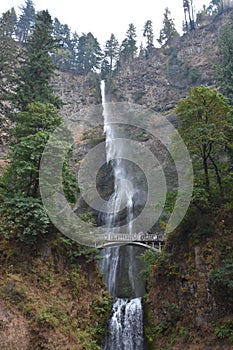 Multnomah Falls in Oregon