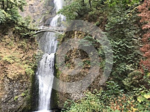 Multnomah Falls in Oregon