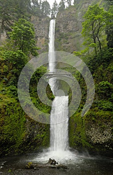 Multnomah falls oregon photo