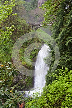 Multnomah Falls Oregon USA
