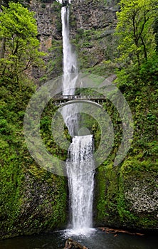 Multnomah Water Falls, Pacific Northwest, Oregon photo