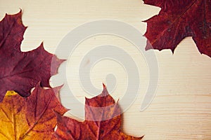 Multocolored maple leaves on wooden background, close up. Autumn leaf close up with copy space