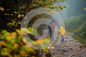 Mum and her little son go on a mountain trail in wet autumn weather. They are accompanied by a dog