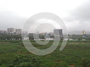 Mumbai, navi mumbai, forest , green mumbai