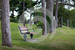 Mumbles memorial bench