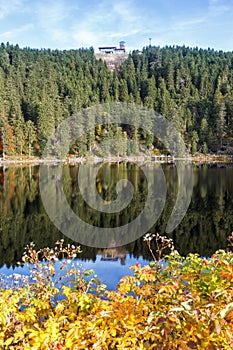 Mummelsee lake and mountain Hornisgrinde in Seebach in the Black Forest landscape nature autumn fall portrait format in Germany